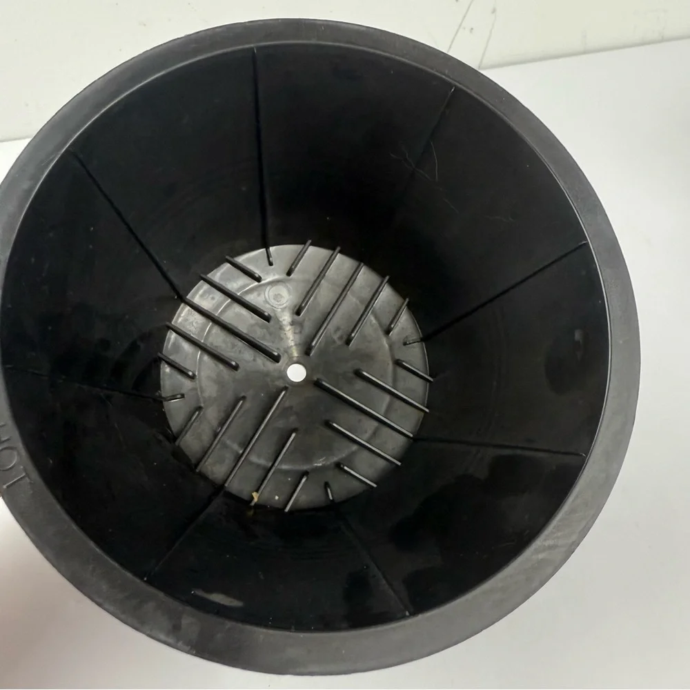 BUNN CSB2-G Speed Brew Elite 10-Cup Coffee Maker - Replacement Filter Basket